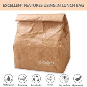 Hangnuo 2 Pack Insulated Brown Paper Lunch Bags Reusable, Retro Lunch Sacks for Adults Work Office, Brown Paper - 10" x 8" x 4.3"