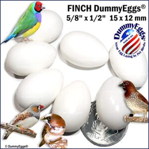 DummyEggs 7 Finch to Stop Laying! 5/8" x 1/2" White Non-Toxic Solid Plastic Realistic Fake Bird Eggs Finches Society, Zebra, Gouldian, Spice Ship Fast Made inUSA