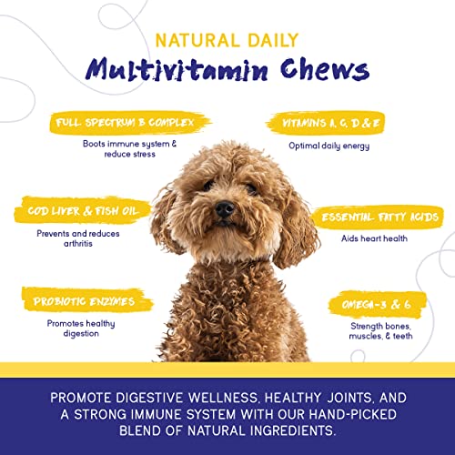 PupGrade Daily Multivitamin for Dogs - All-in-One Supplement for Digestive, Immune, Skin and Coat Health - 32 Healthy Nutrients, Probiotic Enzymes, Omega Fish Oil, Vitamins A, C, D & E - 30 Soft Chews