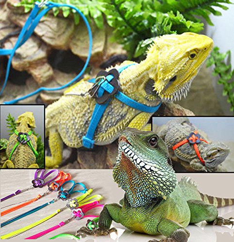 RZRZOO Adjustable Reptile Lizard Harness Leash Multi Color Light Soft Fashion Pet Small Animal，Random Color