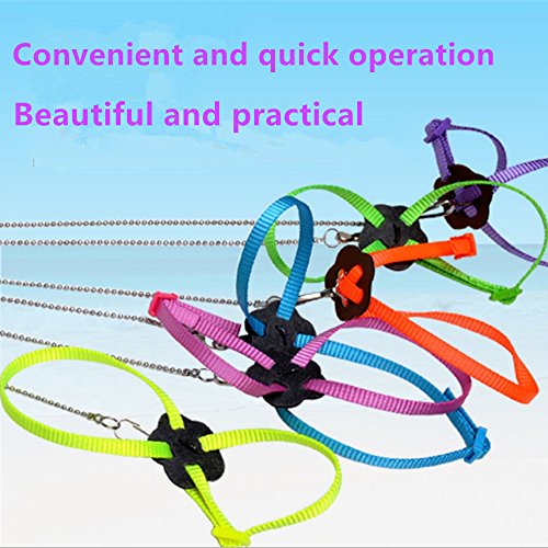 RZRZOO Adjustable Reptile Lizard Harness Leash Multi Color Light Soft Fashion Pet Small Animal，Random Color