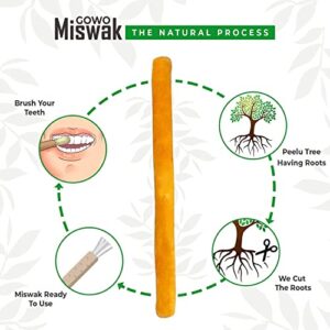 GOWO (10 Pack) Miswak Sticks Without Holders - Natural Teeth Whitening Kit - Natural Toothbrush - No Toothpaste Needed - Herbal Teeth Whitener and Breath Freshener - (Includes 10 Sticks Only)