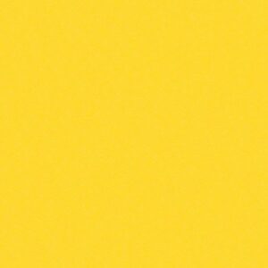 Lemon Yellow Cardstock - 8.5 x 11 inch - 65Lb Cover - 50 Sheets - Clear Path Paper