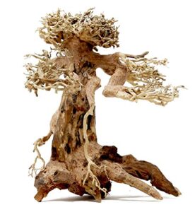 bonsai driftwood aquarium tree am (8 inch height x 6 inch length) natural, handcrafted fish tank decoration | easy to install