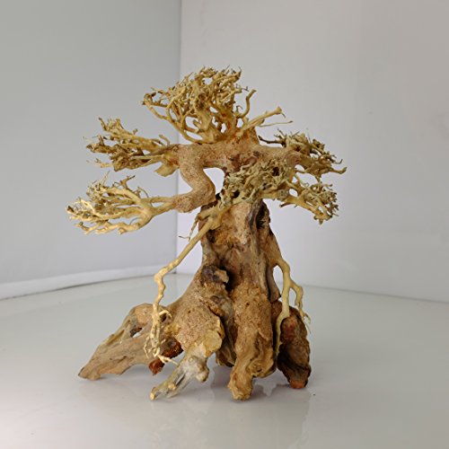 Bonsai Driftwood Aquarium Tree AM (8 Inch Height x 6 Inch Length) Natural, Handcrafted Fish Tank Decoration | Easy to Install