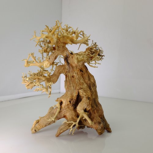 Bonsai Driftwood Aquarium Tree AM (8 Inch Height x 6 Inch Length) Natural, Handcrafted Fish Tank Decoration | Easy to Install