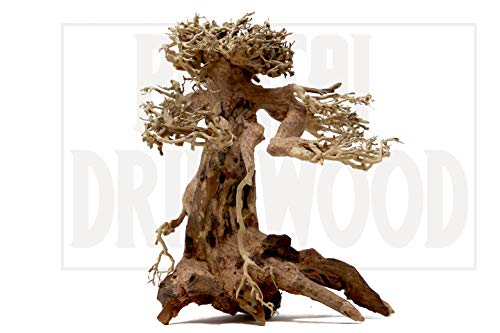 Bonsai Driftwood Aquarium Tree AM (8 Inch Height x 6 Inch Length) Natural, Handcrafted Fish Tank Decoration | Easy to Install