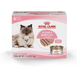 royal canin feline health nutrition mother & babycat ultra soft mousse in sauce canned cat food, 3 oz cans 6-pack