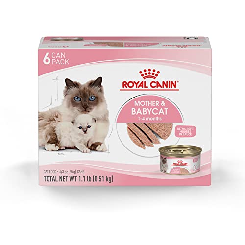 Royal Canin Feline Health Nutrition Mother & Babycat Ultra Soft Mousse in Sauce Canned Cat Food, 3 oz cans 6-pack