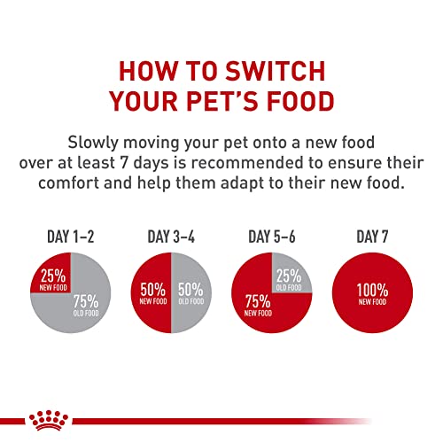 Royal Canin Feline Health Nutrition Mother & Babycat Ultra Soft Mousse in Sauce Canned Cat Food, 3 oz cans 6-pack