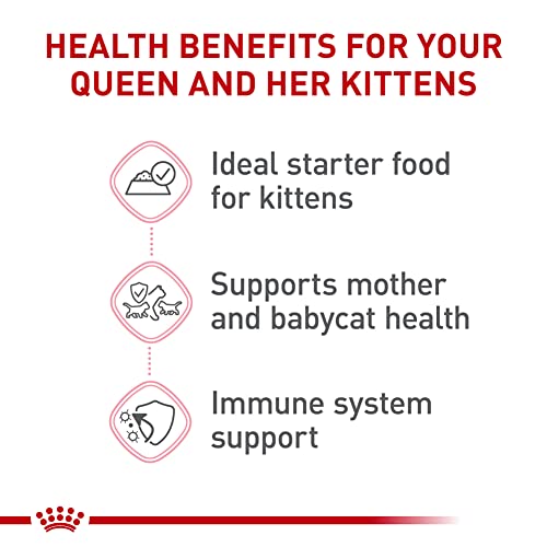 Royal Canin Feline Health Nutrition Mother & Babycat Ultra Soft Mousse in Sauce Canned Cat Food, 3 oz cans 6-pack