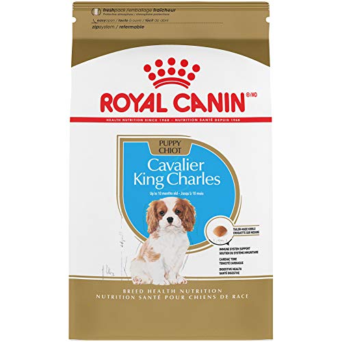 Royal Canin Breed Health Nutrition Cavalier King Charles Puppy Dry Dog Food, 3 lb