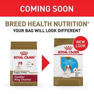 Royal Canin Breed Health Nutrition Cavalier King Charles Puppy Dry Dog Food, 3 lb