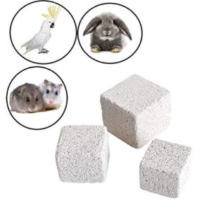 Hamster Chew Toy Lava Teeth Grinding Square Stone For Hamsters Chinchillas and Rabbits Mineral Stone Calcium Chew Toy for Small Animal(Pack of 10)