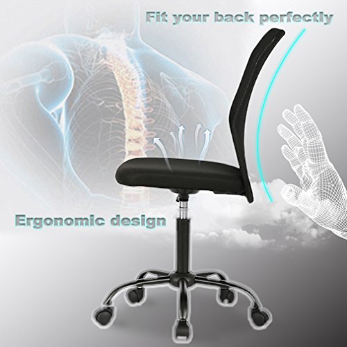 Ergonomic Office Chair Desk Chair Mesh Computer Chair with Lumbar Support No Arms Swivel Rolling Executive Chair for Back Pain 2 Pack (Black)