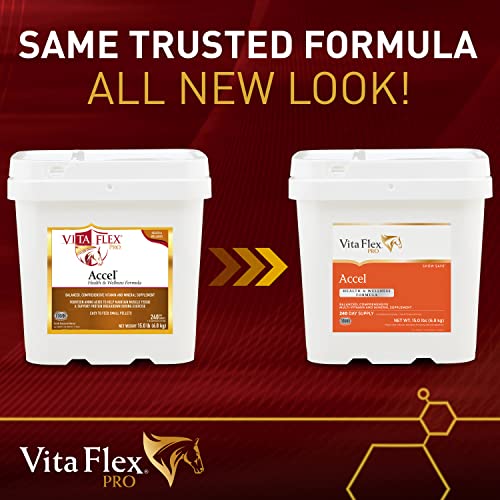 Vita Flex Pro Accel Health & Wellness Formula, Horse Supplement, 15 Pounds, 240-Day Supply