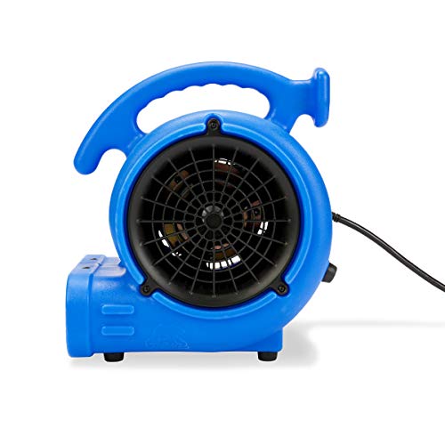 B-Air VP-20 1/5 HP Air Mover for Water Damage Restoration Carpet Dryer Floor Blower Fan Home and Plumbing Use, Blue…