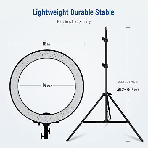 Neewer 18-inch SMD LED Ring Light Dimmable Lighting Kit with 78.7-inch Light Stand, Filter and Hot Shoe Adapter for Photo Studio LED Lighting Portrait YouTube TikTok Video Shooting (No Carrying Bag)