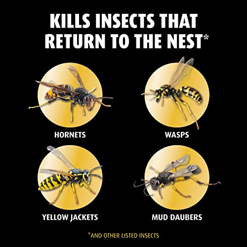Ortho Home Defense Hornet & Wasp Killer7