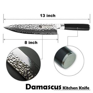 Professional Handmade 8" Damascus Chefs Knife, 67-layer Damascus Chef Knife with VG10 Super Steel Core