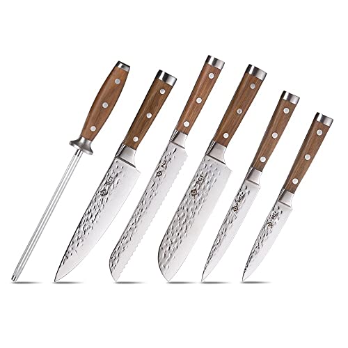 BGT Japanese 67 Layer High Grade VG-10 Super Damascus Steel Knives, Sharp, Teak Handle Professional Hammered Kitchen Knife Set with Knife Roll Bag 6Pcs Set (Silver Blade)