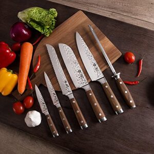 BGT Japanese 67 Layer High Grade VG-10 Super Damascus Steel Knives, Sharp, Teak Handle Professional Hammered Kitchen Knife Set with Knife Roll Bag 6Pcs Set (Silver Blade)