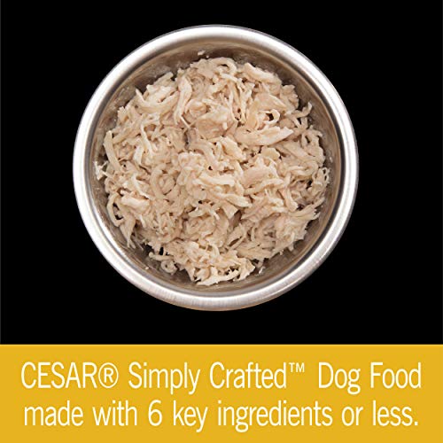 CESAR Simply Crafted Adult Wet Dog Food Meal Topper, Chicken, (10) 1.3 oz. Tubs