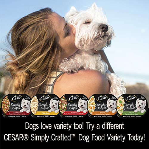 CESAR Simply Crafted Adult Wet Dog Food Meal Topper, Chicken, (10) 1.3 oz. Tubs