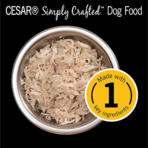 CESAR Simply Crafted Adult Wet Dog Food Meal Topper, Chicken, (10) 1.3 oz. Tubs