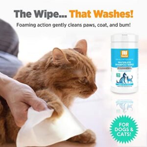 Nootie Waterless Shampoo Wipes For Dogs & Cats-Long Lasting Fragrances-Sold In Over 3000 Vet Clinics-Made In U.S.A. 70 Count