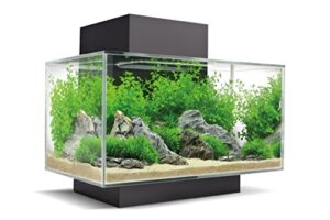 fluval edge aquarium kit, 6 gallon, black