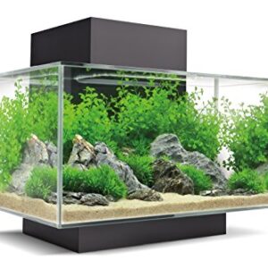 Fluval Edge Aquarium Kit, 6 Gallon, Black