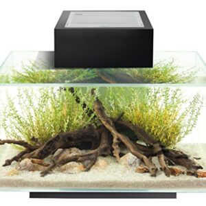 Fluval Edge Aquarium Kit, 6 Gallon, Black