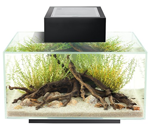 Fluval Edge Aquarium Kit, 6 Gallon, Black