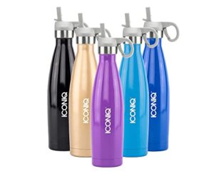 iconiq 17 oz stainless steel vacuum insulated water bottle with pop up straw cap, 17 ounce (gloss purple/gray)