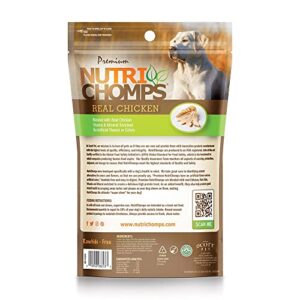 NutriChomps Dog Chews, 6-inch Braids, Easy to Digest, Rawhide-Free Dog Treats, Healthy, 4 Count, Real Chicken flavor