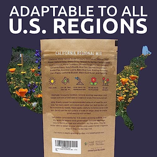 California Wildflower Mixture - Bulk 1/4 Pound Bag - Over 30,000 Native Seeds - Open Pollinated and Non GMO