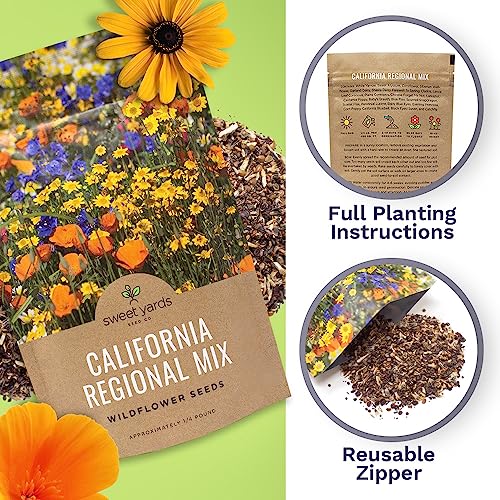 California Wildflower Mixture - Bulk 1/4 Pound Bag - Over 30,000 Native Seeds - Open Pollinated and Non GMO