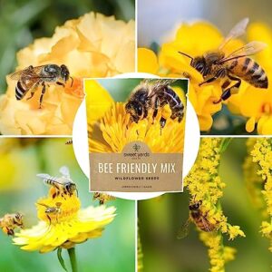 Bee Friendly Wildflower Seed Mix - Bulk 1 Ounce Packet - Over 7,500 Open Pollinated Seeds - Save The Bees!