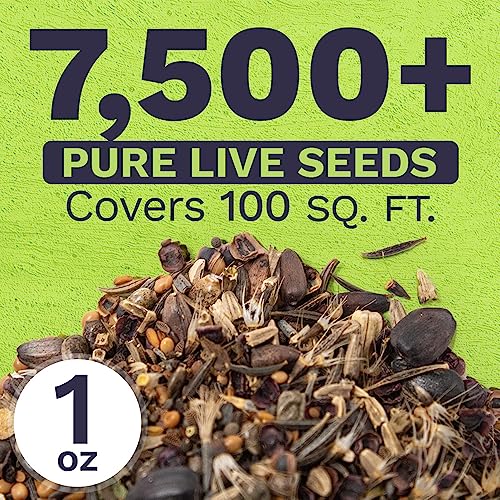 Bee Friendly Wildflower Seed Mix - Bulk 1 Ounce Packet - Over 7,500 Open Pollinated Seeds - Save The Bees!