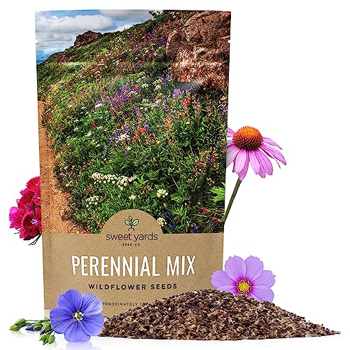 Perennial Wildflower Seeds Mixture - Bulk 1/4 Pound Bag - Over 60,000 Pure Live Seed - Open Pollinated and Non GMO