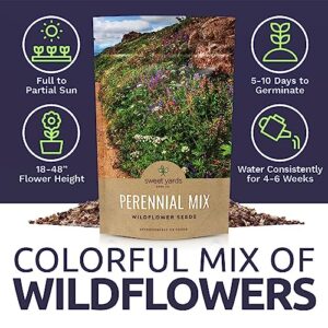Perennial Wildflower Seeds Mixture - Bulk 1/4 Pound Bag - Over 60,000 Pure Live Seed - Open Pollinated and Non GMO
