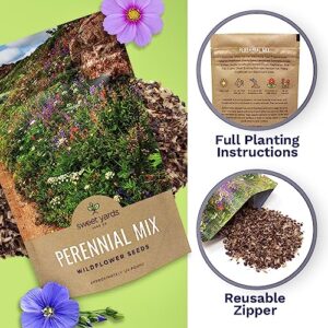 Perennial Wildflower Seeds Mixture - Bulk 1/4 Pound Bag - Over 60,000 Pure Live Seed - Open Pollinated and Non GMO