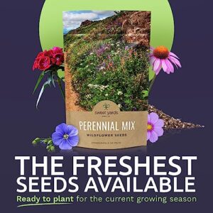 Perennial Wildflower Seeds Mixture - Bulk 1/4 Pound Bag - Over 60,000 Pure Live Seed - Open Pollinated and Non GMO