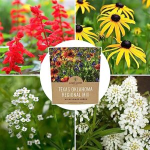 Texas Oklahoma Wildflower Seeds Mixture - Bulk 1 Ounce Packet - Over 15,000 Native Seeds - Open Pollinated and Non GMO