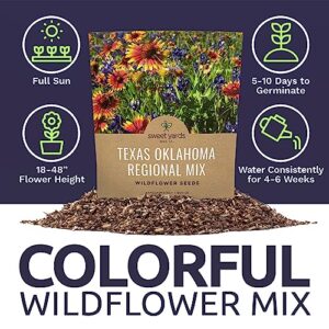 Texas Oklahoma Wildflower Seeds Mixture - Bulk 1 Ounce Packet - Over 15,000 Native Seeds - Open Pollinated and Non GMO