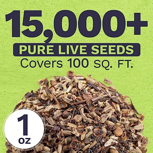 Texas Oklahoma Wildflower Seeds Mixture - Bulk 1 Ounce Packet - Over 15,000 Native Seeds - Open Pollinated and Non GMO