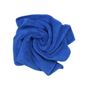 CARCAREZ Premium Microfiber Detailing Towels, 380 GSM Lint Free Car Buffing Waxing Polishing Drying Towel, Pack of 6 (Blue)