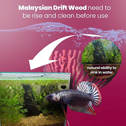 Dr. Moss Aquarium Small Malaysian Driftwood Luxurious Set for Fish Tank Decor, Real Wood Bogwood 5"-7" (2 Pieces)