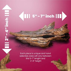 Dr. Moss Aquarium Small Malaysian Driftwood Luxurious Set for Fish Tank Decor, Real Wood Bogwood 5"-7" (2 Pieces)